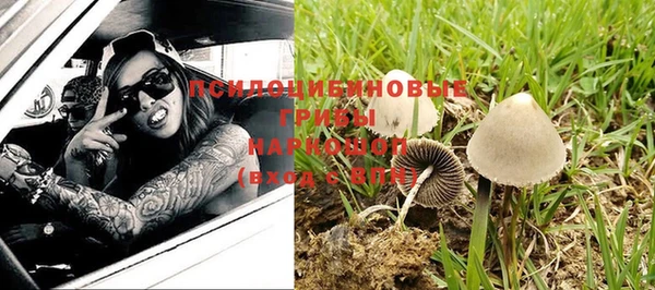гашик Бородино