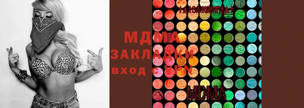 гашик Бородино