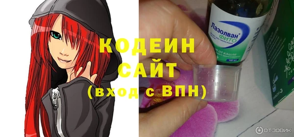 гашик Бородино