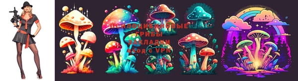 прущие крисы Бронницы