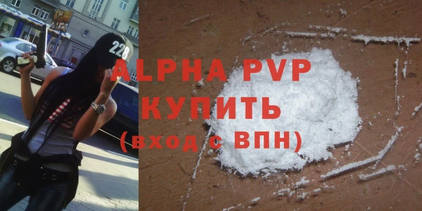 гашик Бородино
