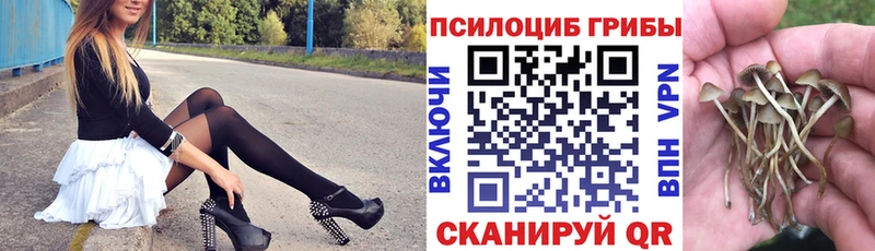 Псилоцибиновые грибы GOLDEN TEACHER  hydra онион  Барабинск 